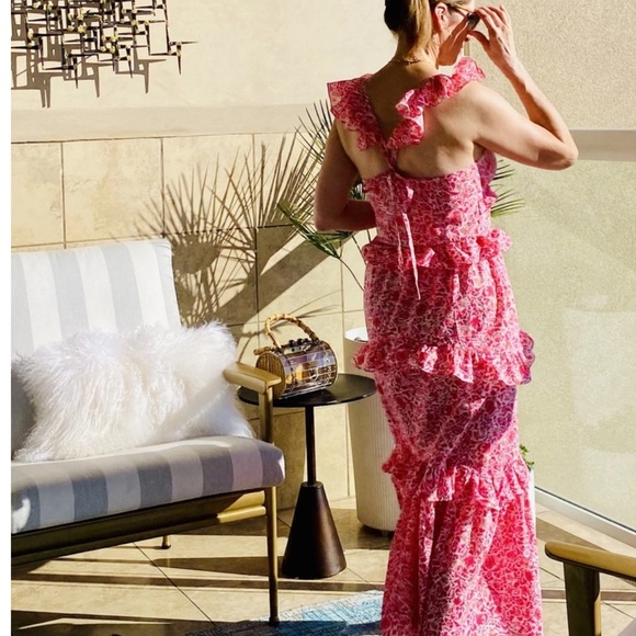 COPY - MISA Los Angeles // Morrison Floral Animal Print Ruffle Maxi Dress - Picture 5 of 10